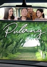 Poster de la película Pulang