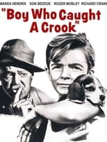 Poster de la película Boy Who Caught a Crook