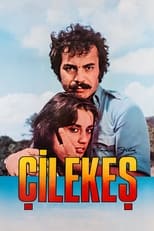 Poster de la película Çilekeş