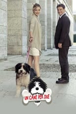 Poster de la película Un cane per due