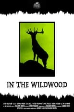 Poster de la película In the Wildwood