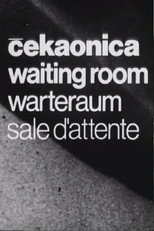 Poster de la película Waiting Room