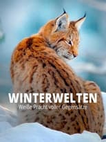 Poster de la película Terra X - Wilde Winterwelten