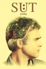 Poster de la película Milk