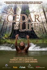 Poster de la película A Cedar Is Life