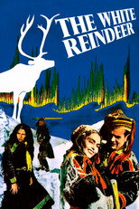 Poster de la película The White Reindeer