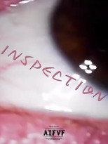 Poster de la película INSPECTION