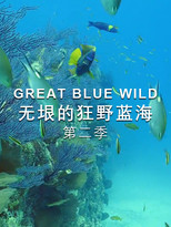 Great Blue Wild