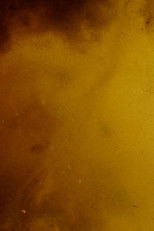 Poster de la película Erpe-Mere