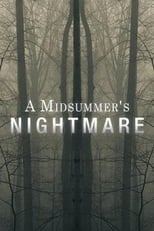 Poster de la película A Midsummer's Nightmare