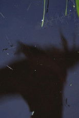 Poster de la película Ditch jumping re-enactment