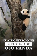 Poster de la película Four Seasons in the giant Panda’s kingdom