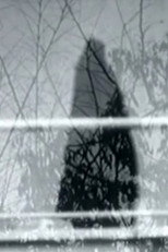 Poster de la película Never Happened