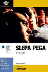 Poster de la película Blind Spot
