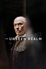 Poster de la película The Unseen Realm