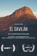 Poster de la película El Gavilan