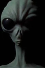 Poster de la película UFOs: A Demonic Deception
