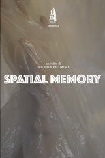 Poster de la película Spatial Memory