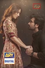 Poster de la serie Meray Paas Tum Ho