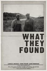 Poster de la película What They Found