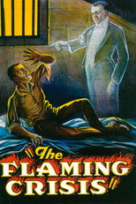 Poster de la película The Flaming Crisis