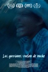 Poster de la película Los gorriones vuelan de noche