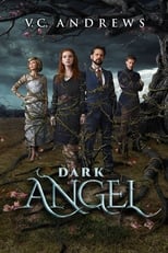 Poster de la película Dark Angel