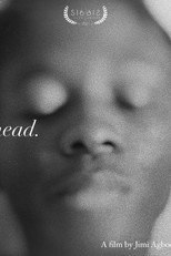 Poster de la película HEAD