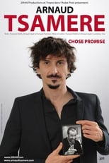 Poster de la película Arnaud Tsamère - Chose Promise
