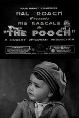 Poster de la película The Pooch