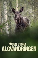 Poster de la serie Den stora älgvandringen