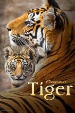 Poster de la película Tiger