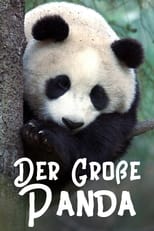 Poster de la película The Giant Panda
