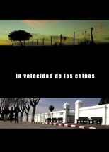 Poster de la película The Speed of the Ceibos