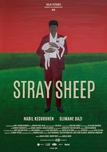 Poster de la película Stray Sheep