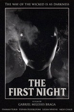 Poster de la película The First Night