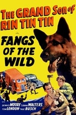 Poster de la película Fangs of the Wild