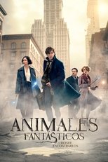 Poster de la pel铆cula Animales fant谩sticos y d贸nde encontrarlos