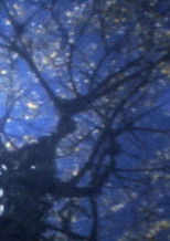 Poster de la película In September