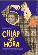 Poster de la película Chlap jako hora