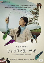 Poster de la película The World According to Chocolat