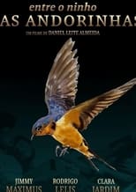 Poster de la película Between the Nest and the Swallows