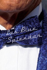 Poster de la película The Blue Splendor's