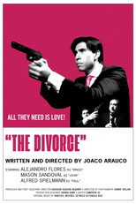 Poster de la película The Divorce