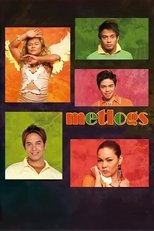 Poster de la película Metlogs (Metrosexual Adventures)