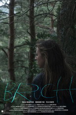 Poster de la película Breakage