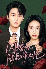 Poster de la serie 闪婚后陆总又争又抢