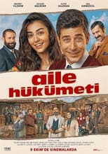 Poster de la película Aile Hükümeti