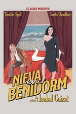 Poster de la película Nieva en Benidorm
