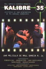Poster de la película Kalibre 35